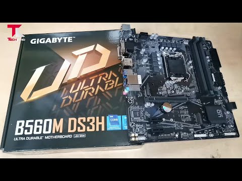 Gigabyte B560M DS3H 1.0