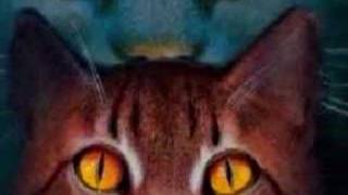 Jaypaw Tribute - Open up your Eyes