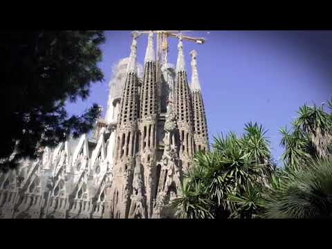 AJP TOUR  PRO BARCELONA BJJ