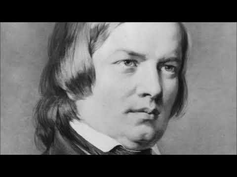 R. Schumann - Fantasiestücke Op. 12 (M. Argerich)