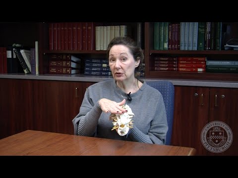 Post-Operative TLIF Instructions