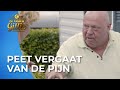 Peter IN ACTIE bij WESPENNEST en wordt KEIHARD gestoken! ? | Familie Gillis