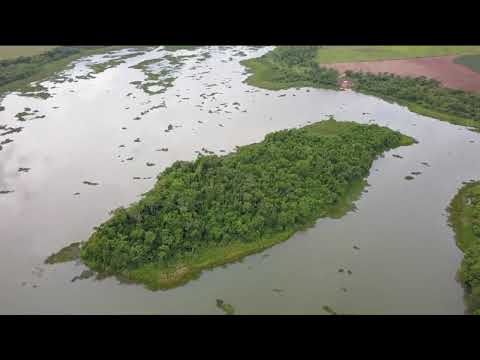 Encantos do Rio Paranapanema | Um Tesouro Natural de Santo Antônio do Caiuá
