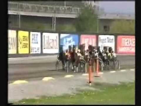 Harper Hanovers lopp 1985 -Utah Bulwark