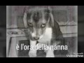 Buonanotte A Tutti