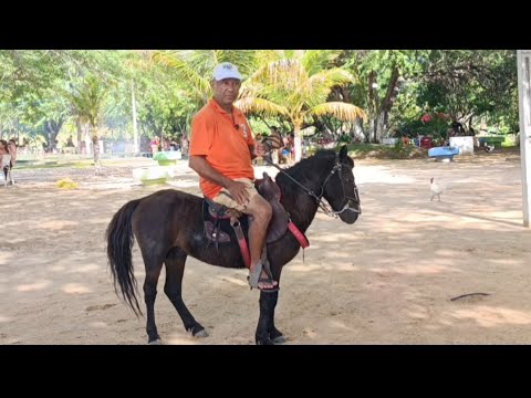 CIPÓ BAHIA, PARAÍSO DAS ÁGUAS TERMAIS, FIQUEI DEZ DIAS NA REGIÃO E APROVEITEI BASTANTE, EP 1736.
