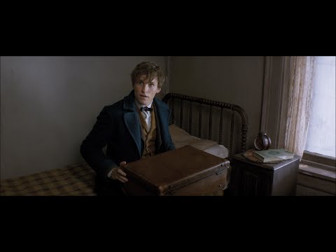 [신비한 동물사전] 1차 예고편