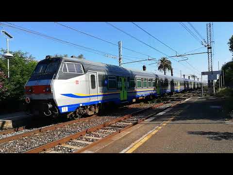4 treni a Castagneto Carducci Donoratico! parte1