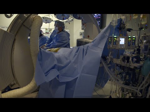 University of Florida's Division of Vascular Surgery Fellowship Program