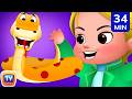 The King S Vases Snake The Ants Turtles Monkeys ChuChu TV Storytime Adventures Collection