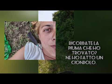 Randonautica. Non posso credere a quello che ho trovato!!!!!!!