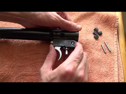 Weihrauch HW85/HW95 Assembly & Chrono Results