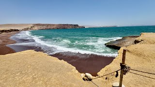 Pisco, Peru Cruise Port Guide | Budget Shore Excursions & Best Attractions, 12/2025 