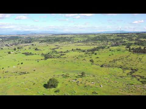 Parcelas de Agrado 🌳 RESERVA ALIWEN III 🌳Litueche, VI de O’Higgins