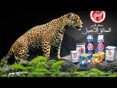 COSUMAR - Spot Pain de sucre