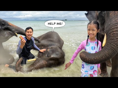 ��ԡ���ʹ٤�Ի�Դ���