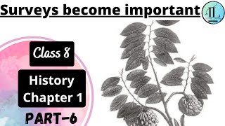 Surveys become important  | How, When and Where | Class 8 History Chapter 1 | @Internet Learning