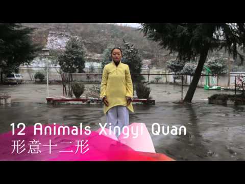 12 Animals Xingyi - Wudang Dragongate Kungfu School