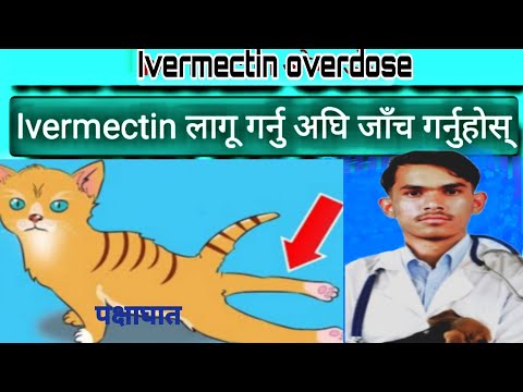 Ivermectin Overdose in Cat's //Overdose: Ivermectin Risks in animal //ivermectin overdose antidote