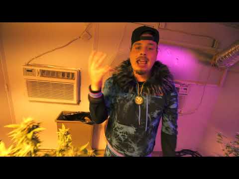 Mobbo Rawbo- Bags with the Gas Tank [OFFICIAL VIDEO]