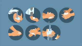 Handwashing: Reduce the Spread of Viruses