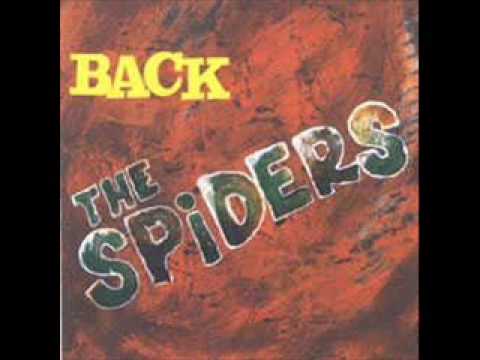 Los Spiders Back