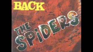 Los Spiders Back