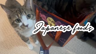 【Japan】What I got in Japan 購入品とかカナダに持ってきたもの