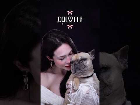 È stato impegnativo girare questo video, non smetteva di russare 🤣🤍 Culotte ti amo tanto 🫂