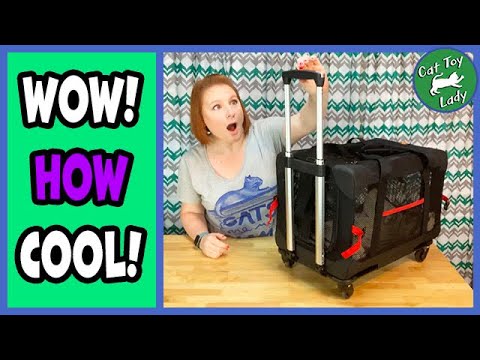 Pet Carrier With Wheels Review And Assembly, Mikeypet Trolley Case