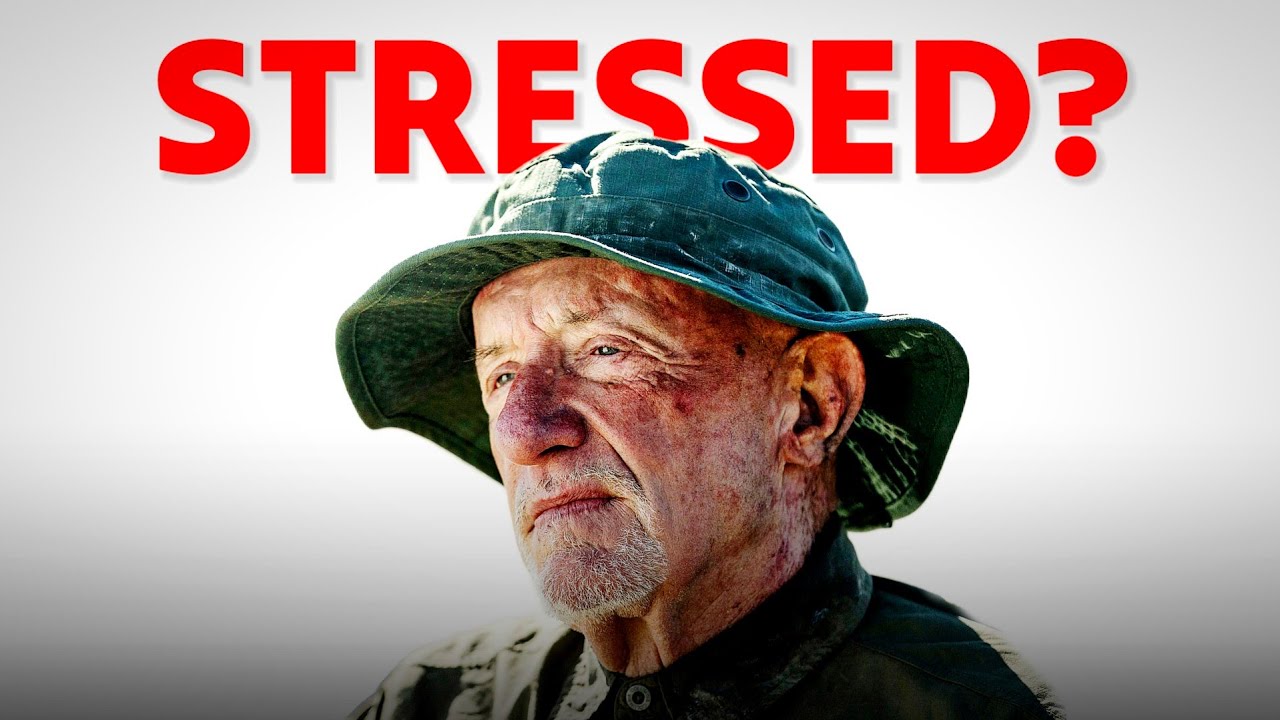 If You Feel Stressed in Your Life , Just Learn from Mike Ehrmantraut
