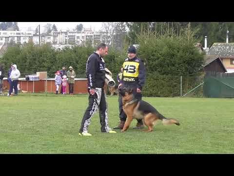 Svod NO 2017 - Ernie Hartis Bohemia