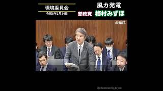 再エネは誰の為？/ 参政党：梅村みずほ