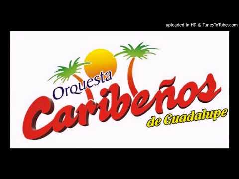 Caribeños - Ya no la busques.