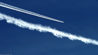 Moon Duo - "White Rose" (geo engineering 03/2017 sprayed creatures)