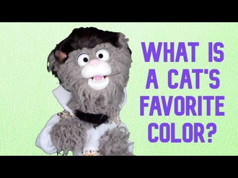 What is a cat's favorite color? joke for kids