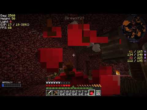 Forever Stranded: Lost Souls with Direwolf20 - Episode 16 - My Very First 9x9