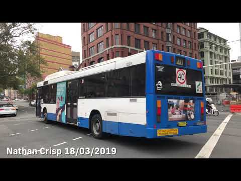 Sydney Buses 1299