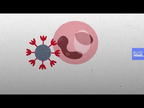 Covid-19: dobbiamo preoccuparci della mutazione del coronavirus nei visoni in Danimarca?