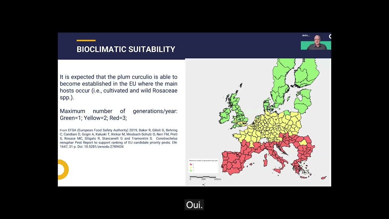 Statistically sound survey of Conotrachelus nenuphar - French subtitles