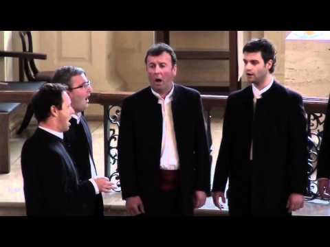 Klapa Motovun - Dalmatino povišću pritrujena