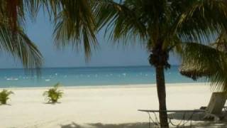 ♥ Silver Bird_Alain Morisod &amp; Sweet People ♥