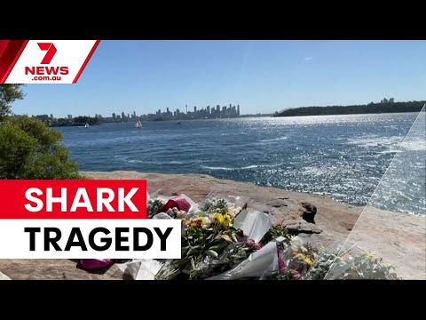 Boy dies from shark attack as alerts surge | 7NEWS