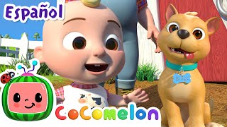 Thumbnail del capítulo