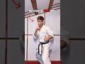 How to beat the KARATE fighter…