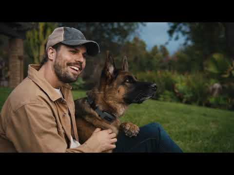 OnSpot GPS Dog Collar CTV Commercial