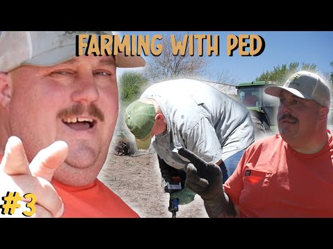 Pre-Plant Warfare | Farming with Ped