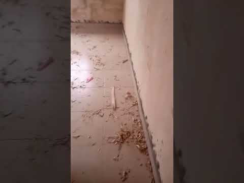 Classic Mini Flat in Ayobo | Affordable & Standard Home