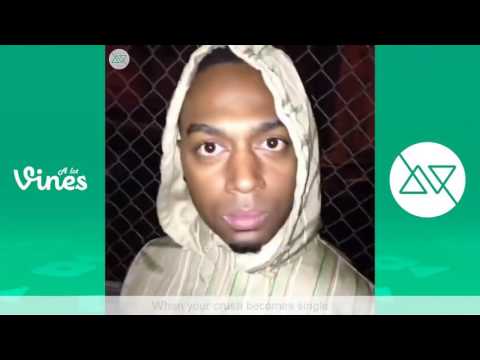 Ultimate Marlon Webb Vine Compilation with Titles   All Marlon Webb Vines 2015