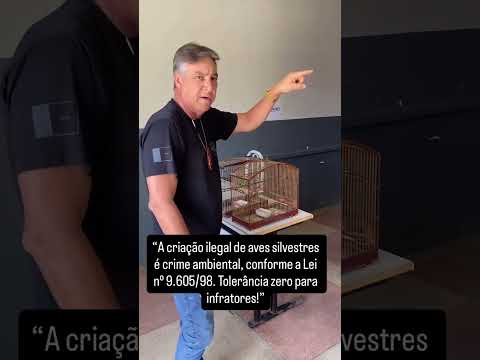 CRIAÇÃO DE AVES SILVESTRE ILEGAL... DELEGADO DÉCIO SOUZA, DE BARRA DE SANTA ROSA, PARAÍBA, EXPLICA